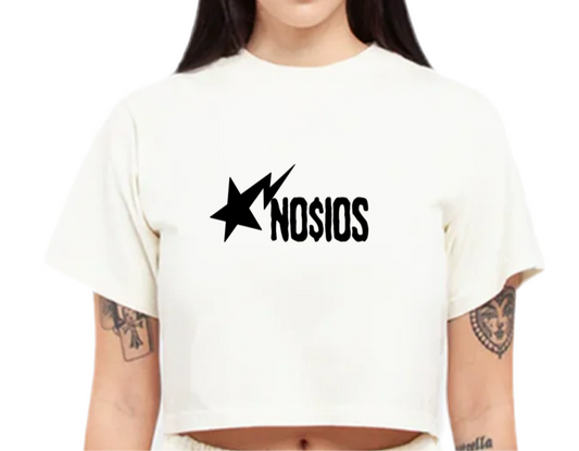 Icy Crop Top