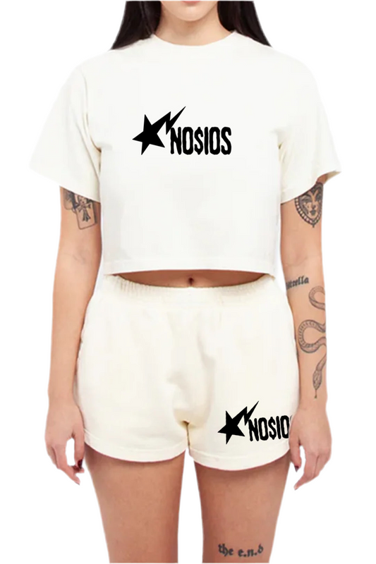 NO$IOS - Icy Croptop Set